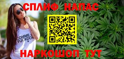 тгк Будённовск