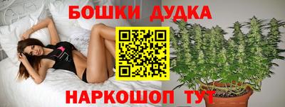 тгк Будённовск