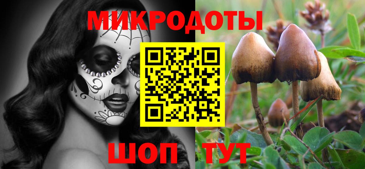 Галлюциногенные грибы MAGIC MUSHROOMS Богородск