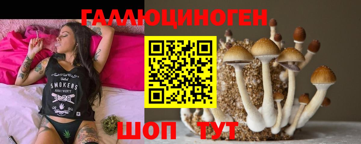 Псилоцибиновые грибы прущие грибы  Вход с VPN  что такое   Богородск 